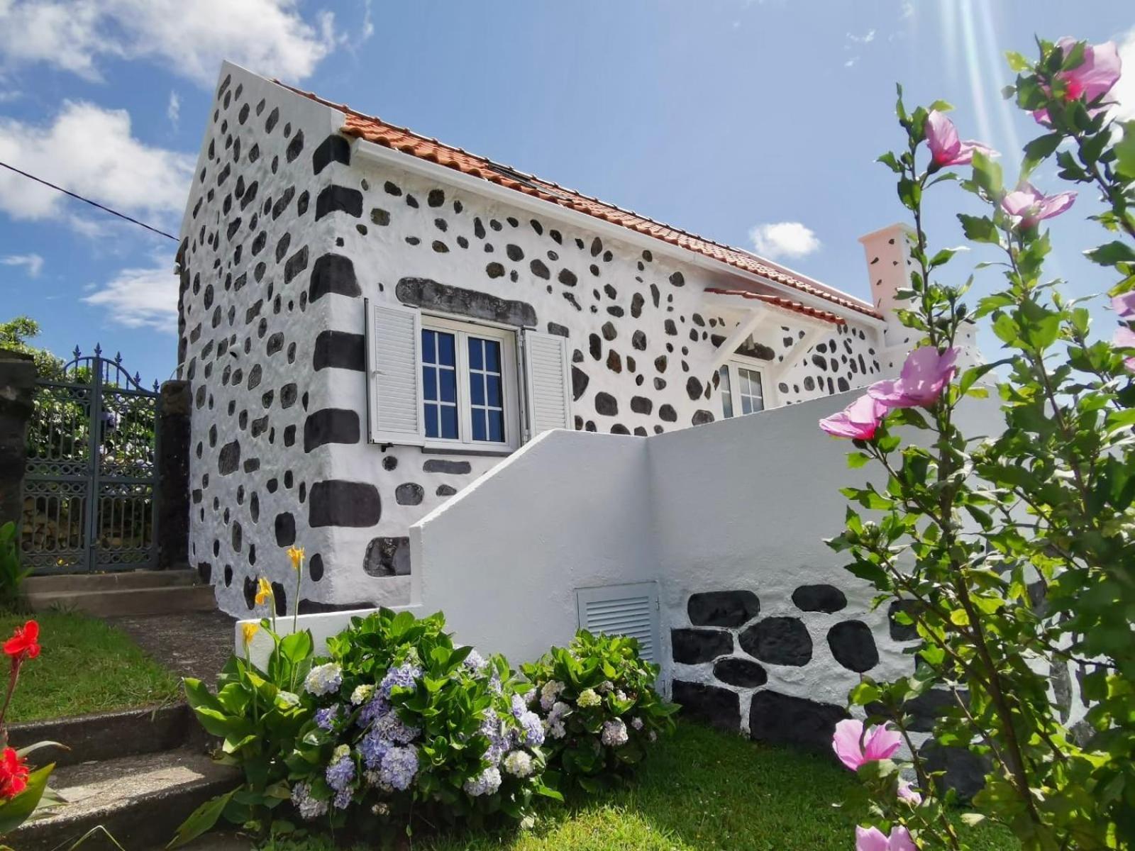 Vivenda Flores - Casa Hortensia Lomba  Exterior photo